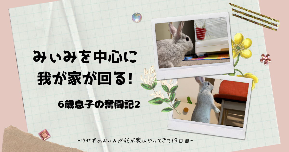 ウサギのみぃみの世話を、家族で役割分担し、与えられた仕事を息子ちゃんがするお話。