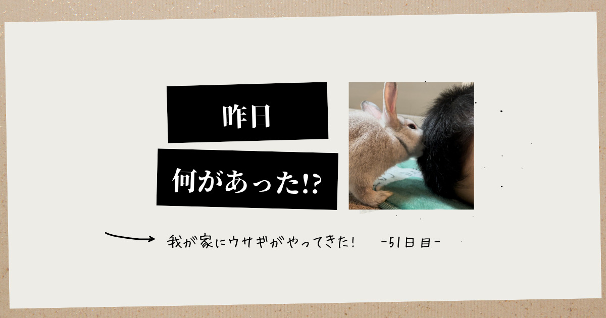 みぃみと遊ぶ息子ちゃんの笑顔に何か違和感がありました。そのことについて書いていきます。